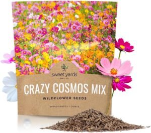 Cosmos Seeds