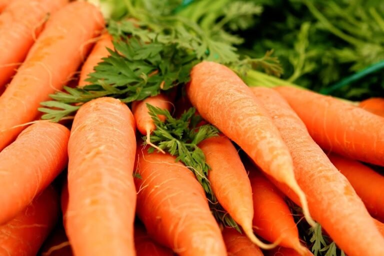 carrots 3399806 1920