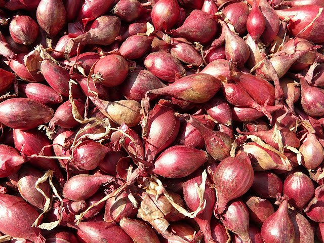 red shallots 5768 1280