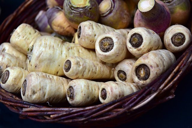 Growing Parsnips: The Complete Guide to How to Plant, Care for, and Harvest Harvested Grown Parsnips